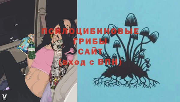 PSILOCYBIN Пенза