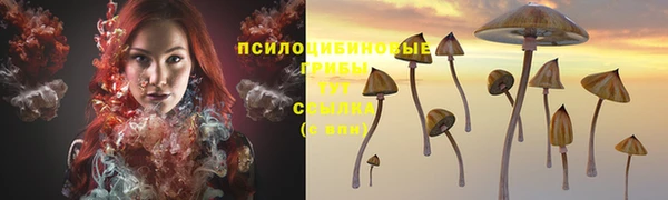 PSILOCYBIN Пенза