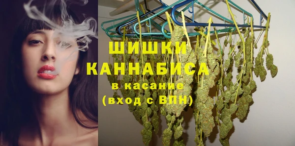 крисы Киров