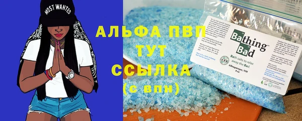 PSILOCYBIN Пенза