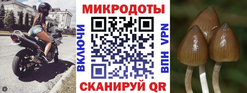 Купить закладки  Миллерово  Галлюциногенные грибы прущие грибы 